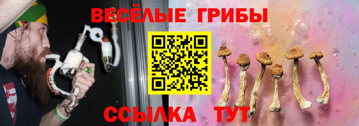 Галлюциногенные грибы прущие грибы  Вход с VPN  Уварово  Галлюциногенные грибы GOLDEN TEACHER 